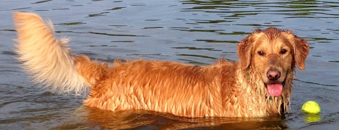 James Island County Park Dog Park is one of Charleston Area List.