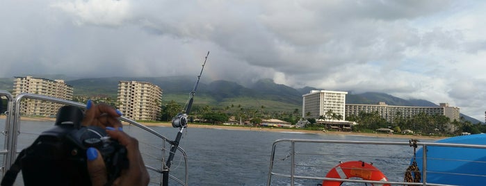 Sea Maui Charters is one of Maui.