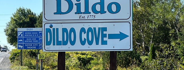 Dildo is one of Weird name places.