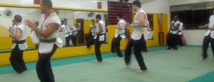 Academia Choy Lay Fut Kung Fu is one of My.