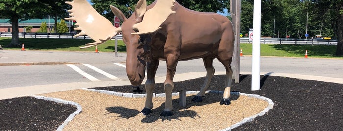 Moose Statue is one of Ogunquit Must Try Places.