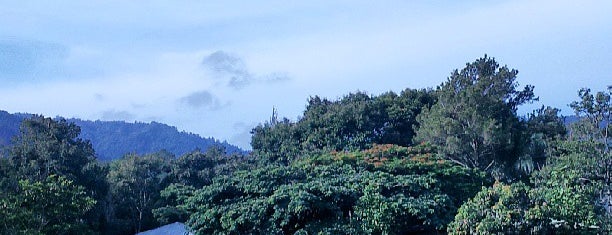 Rancho Baiguate is one of Lugares favoritos de Tigra✨.