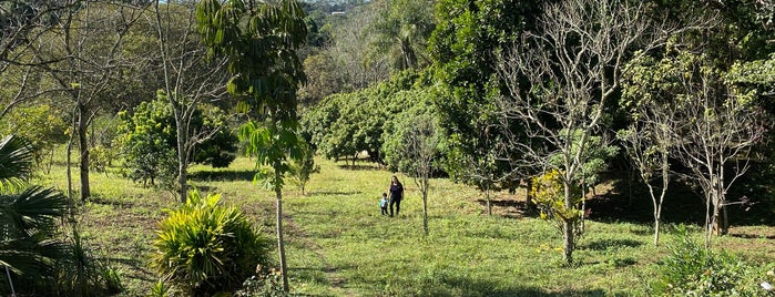 Grajaú is one of สถานที่ที่ Amanda ถูกใจ.