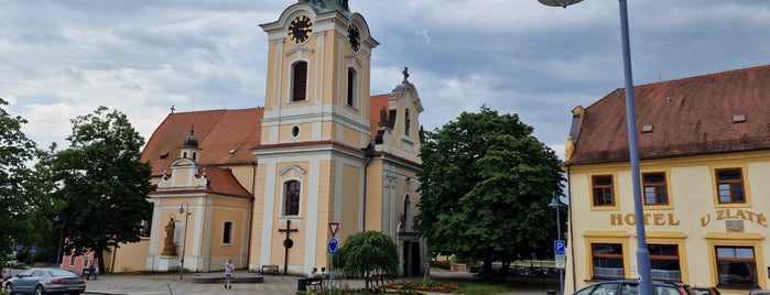Týn nad Vltavou is one of Obce s rozšířenou působností ČR.