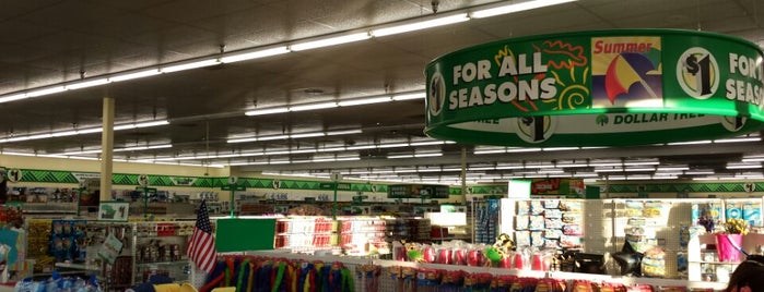 Dollar Tree is one of shopping.