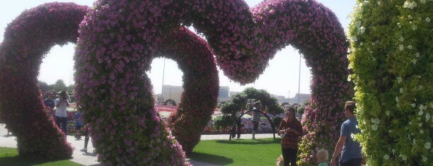 Dubai Miracle Garden is one of Dubai and Abu Dhabi. United Arab Emirates.