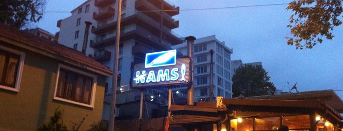 Akçakoca Hamsi Restaurant is one of Balık/Meze.