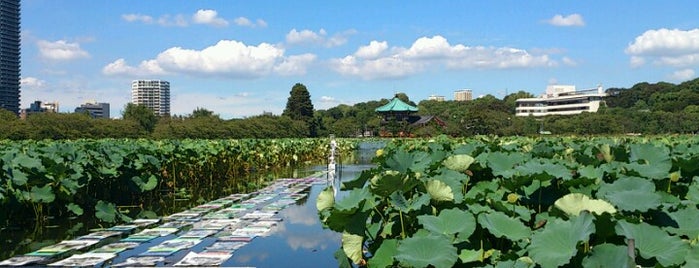 Shinobazu Pond is one of Tokyo Visit.