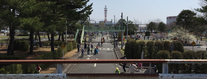 交通公園 is one of Park in Morioka.