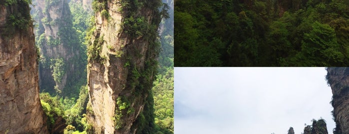 Zhangjiajie National Forest Park is one of China.