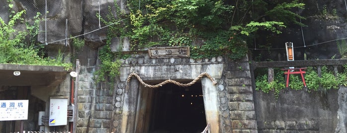足尾銅山 is one of 日本の鉱山.