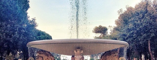 Fontana dei Quattro Cavalli is one of My places in Italy.