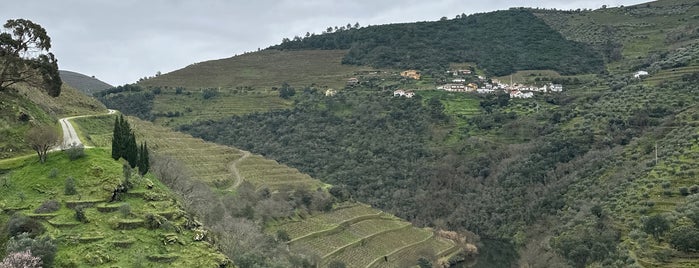 Quintas in the Douro