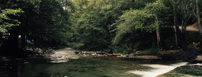 Riverside Campground is one of HWY1: SF to Davenport.