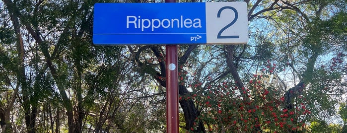 Ripponlea Station is one of Melbourne Train Network.