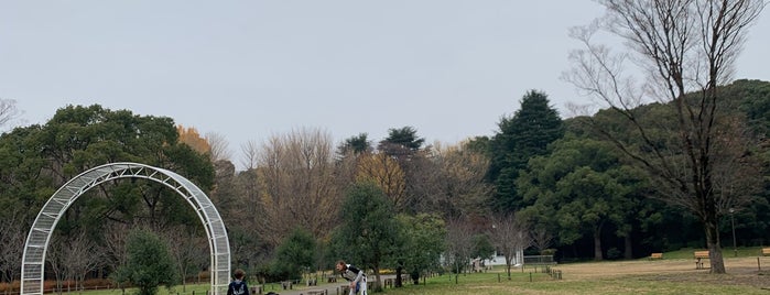 Yoyogi Park is one of Chris : понравившиеся места.