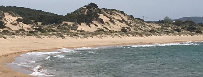 Romanos Beach is one of Foinikounta.