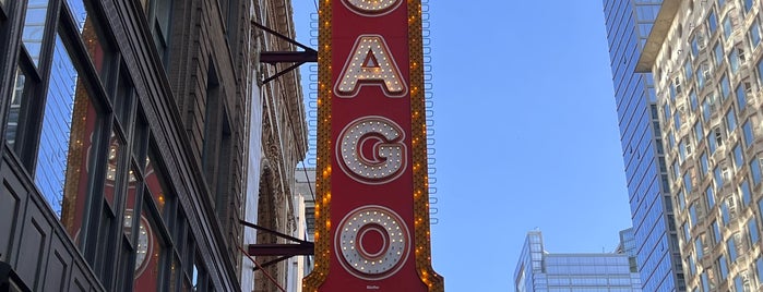 The Chicago Theatre is one of Illinois' Music Venues.