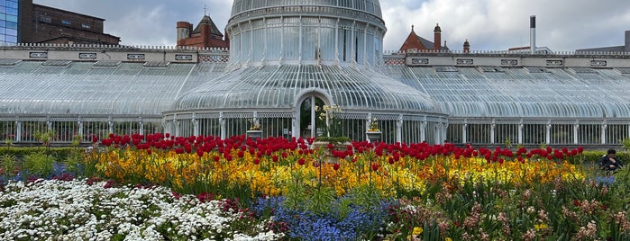 The Palm House is one of In Dublin's Fair City (& Beyond).
