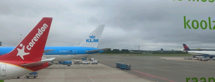 KLM Flight KL601 [AMS - LAX] is one of Flights I flew.