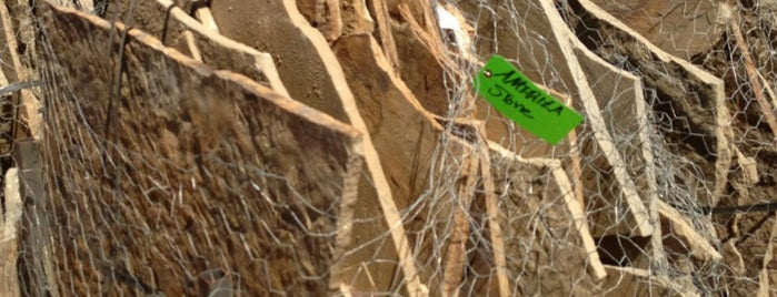 Anasazi Stone is one of สถานที่ที่ Jim ถูกใจ.