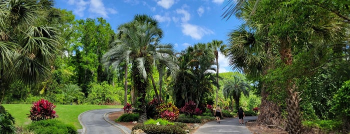 Disney's Palm Golf Course is one of Orlando Golf course.