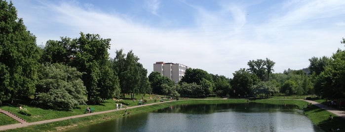 Новочерёмушкинский пруд is one of Инфраструктура районов Гагаринский и Академический.