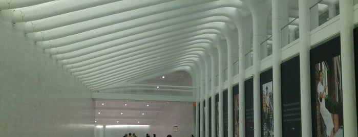 World Trade Center Transportation Hub (The Oculus) is one of Mark : понравившиеся места.