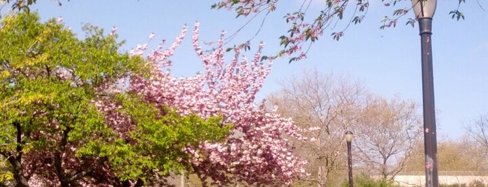 Lenape Playground (snake Park) is one of Kimmieさんの保存済みスポット.