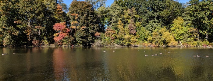 Van Cortlandt Park is one of The Big Apple Badge.