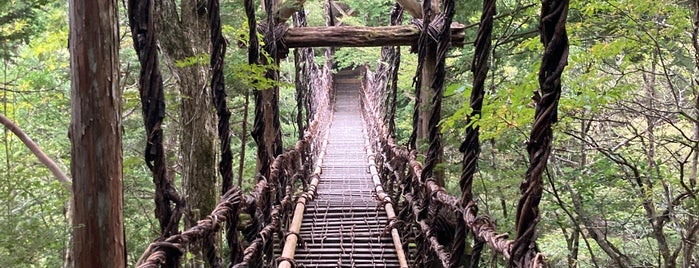 奥祖谷二重かずら橋 is one of 旅は道連れ~四国編~.