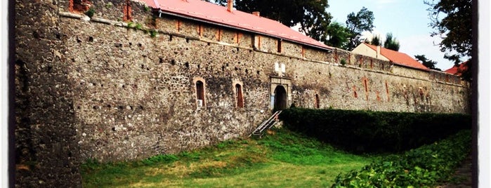 Uzhhorod Castle is one of World Castle List.