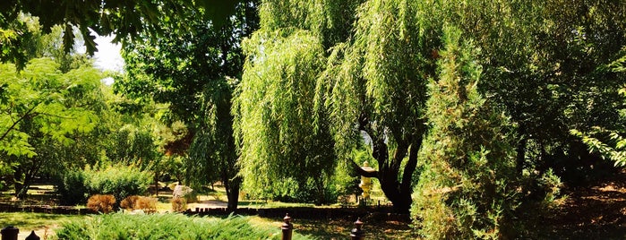 Grădina Japoneză is one of Parcuri.