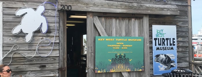 Key West Turtle Museum is one of Florida List.