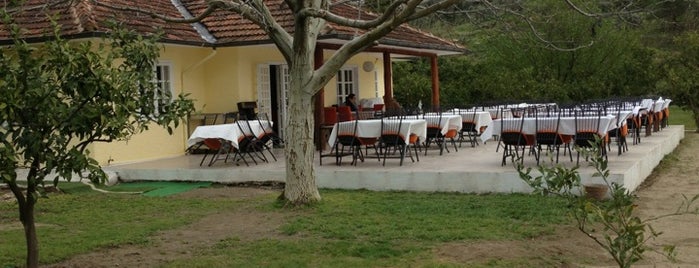 Oasis Park Restaurant is one of Locais curtidos por Arife.