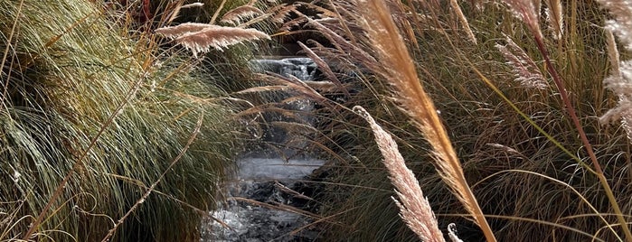 Termas De Puritama is one of Chile.