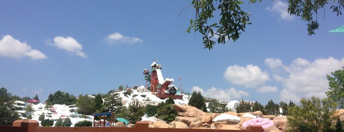 Disney's Blizzard Beach Water Park is one of Lugares favoritos de Robert.