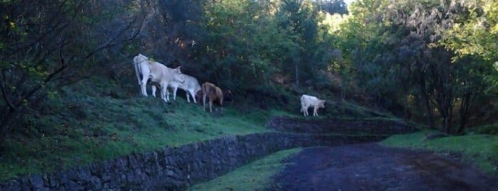 Monte La Guardia is one of Etna.