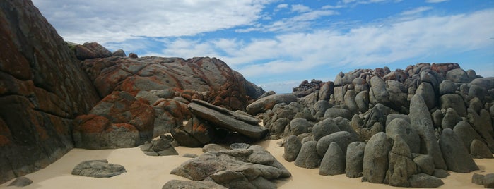 Bingie Bingie Point is one of Australia.