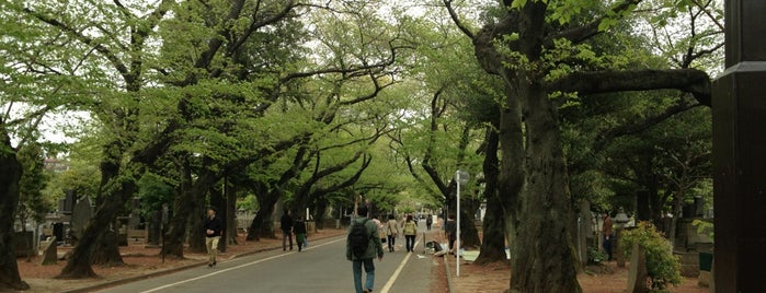 谷中霊園 is one of 東京訪問済み.