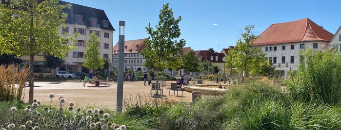 Hirschgarten is one of Erfurt.