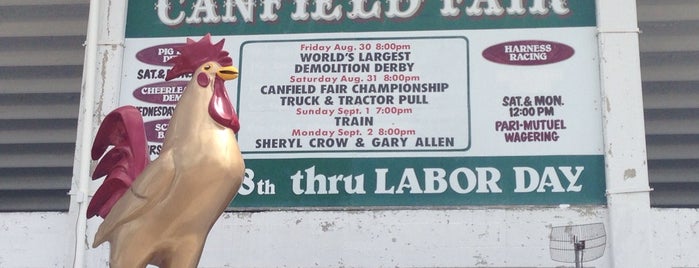 Canfield Fairgrounds is one of Dan’s Liked Places.