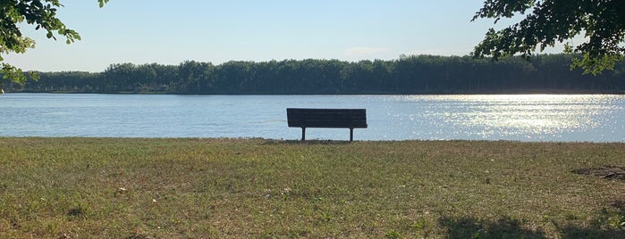 Cottonwood Campground is one of Posti che sono piaciuti a Stephanie.