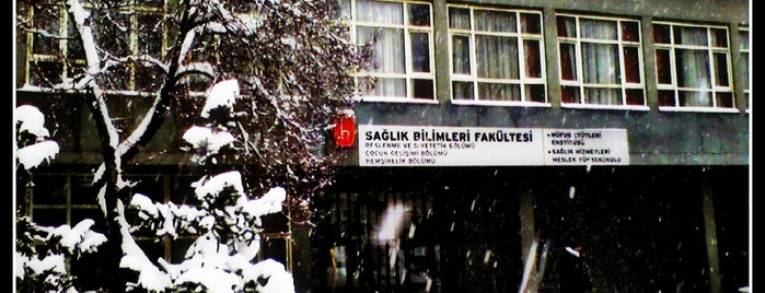 Hacettepe Üniversitesi Sağlık Bilimleri Fakültesi is one of Lugares favoritos de esma.