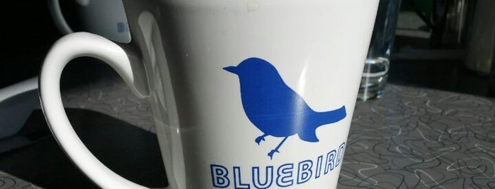 Bluebird Diner is one of Iowa City.