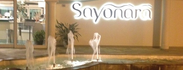 Sayonara ristorante is one of สถานที่ที่ Mauro ถูกใจ.