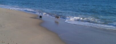 South Beach is one of Martha's Vineyard.