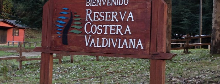 Reserva costera Valdiviana is one of Sitios favoritos.