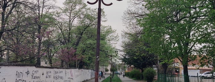 Pančevo is one of beograd.