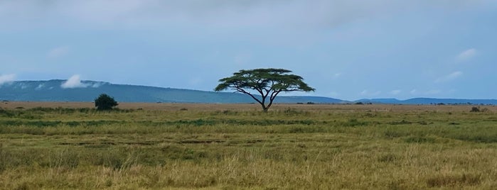 Serengeti National Park is one of Geziyorum Dünya Işte.